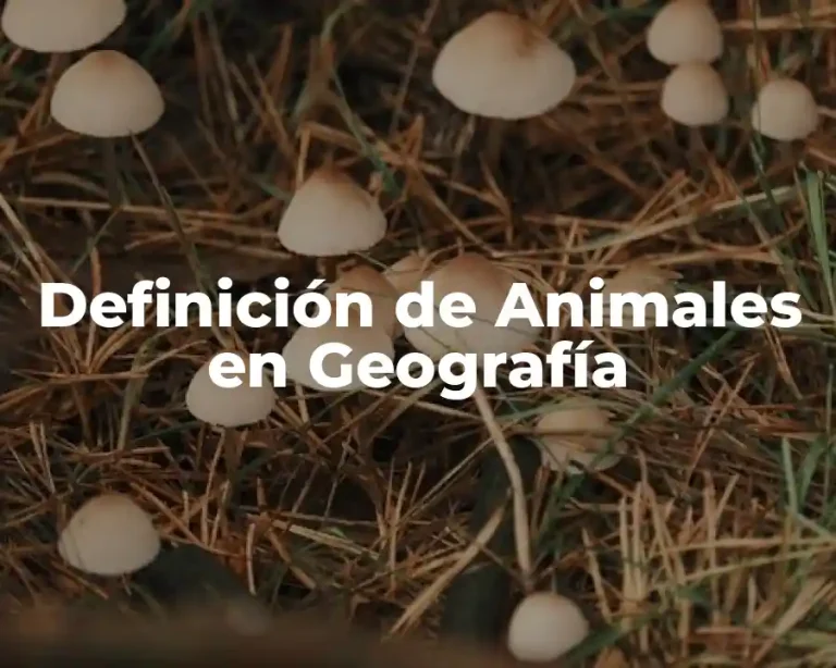 Definición de Animales en Geografía