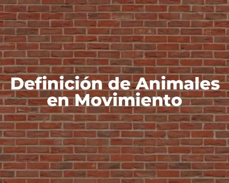 Definición de Animales en Movimiento