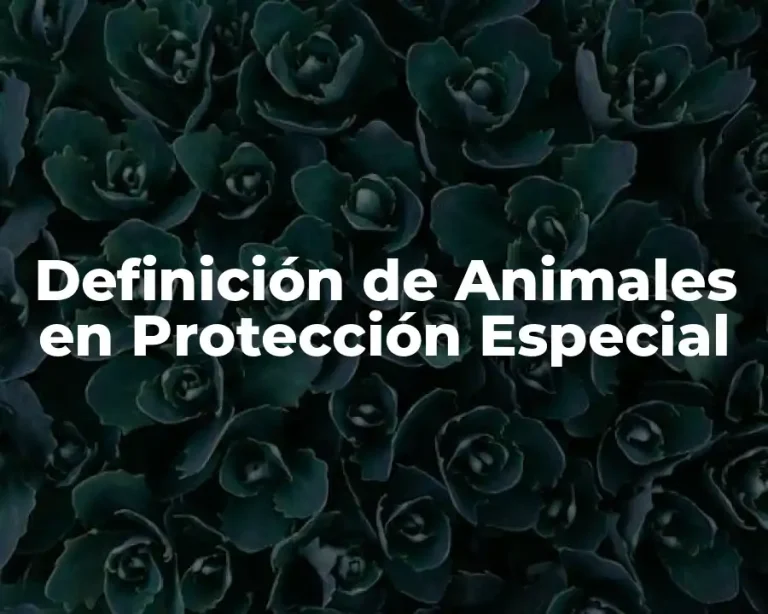 Definición de Animales en Protección Especial