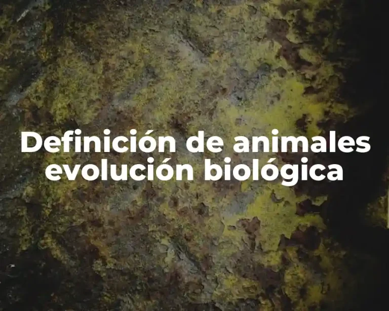 Definición de animales evolución biológica