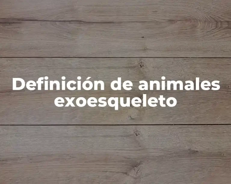 Definición de animales exoesqueleto