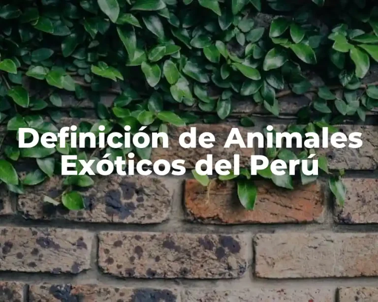 Definición de Animales Exóticos del Perú