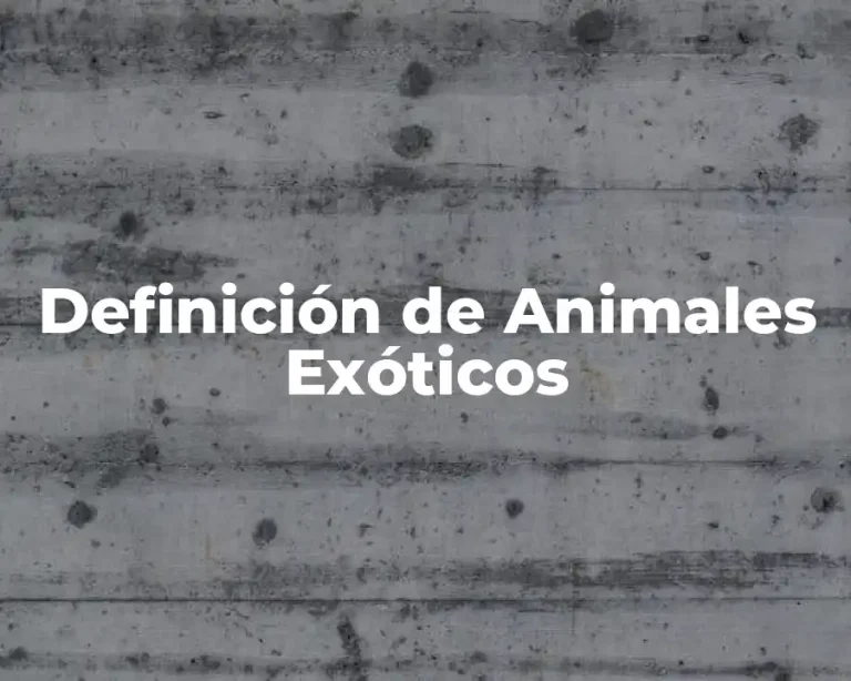 Definición de Animales Exóticos