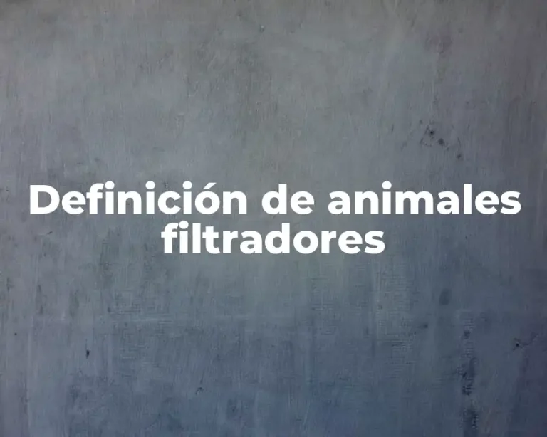 Definición de animales filtradores