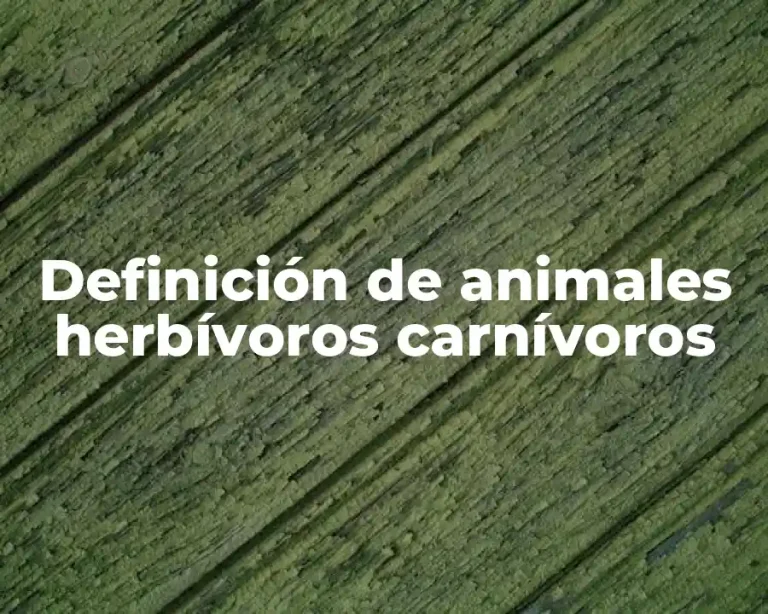 Definición de animales herbívoros carnívoros