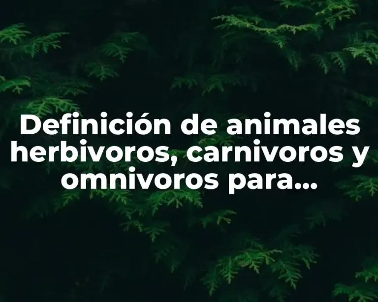 Definición de animales herbivoros, carnivoros y omnivoros para colorear