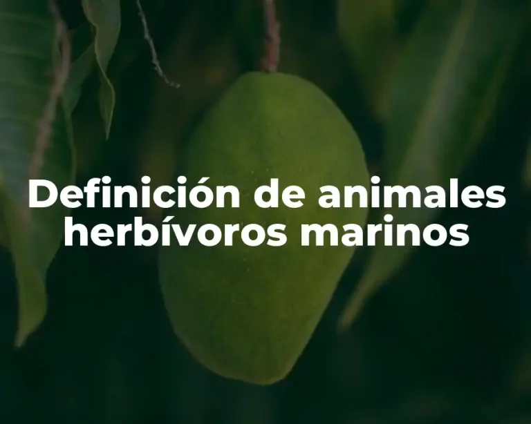 Definición de animales herbívoros marinos