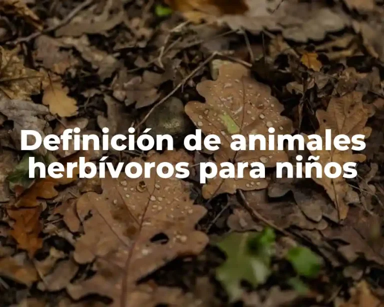 Definición de animales herbívoros para niños
