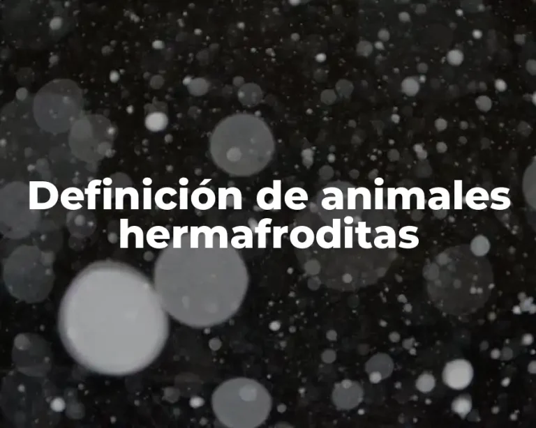 Definición de animales hermafroditas