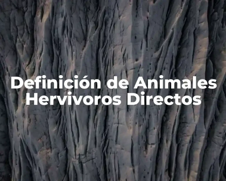 Definición de Animales Hervivoros Directos