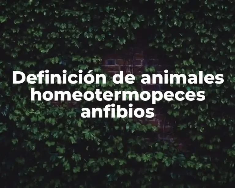 Definición de animales homeotermopeces anfibios