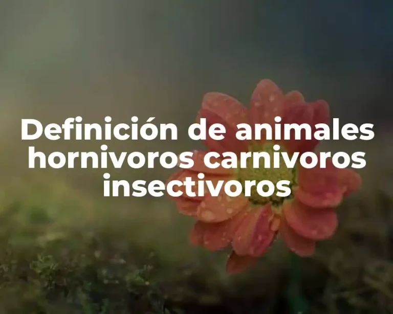 Definición de animales hornivoros carnivoros insectivoros