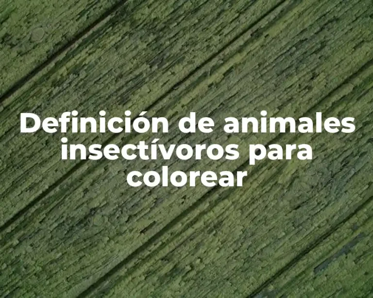 Definición de animales insectívoros para colorear