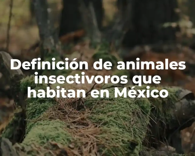 Definición de animales insectivoros que habitan en México