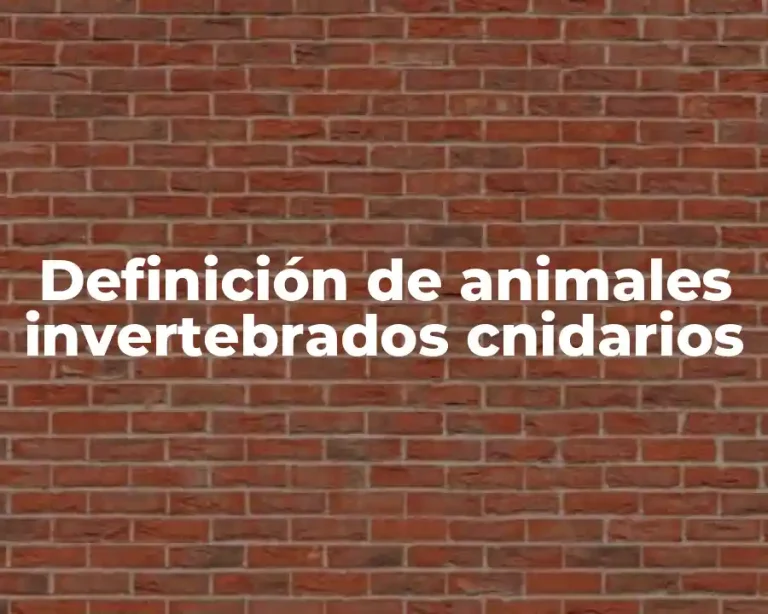 Definición de animales invertebrados cnidarios