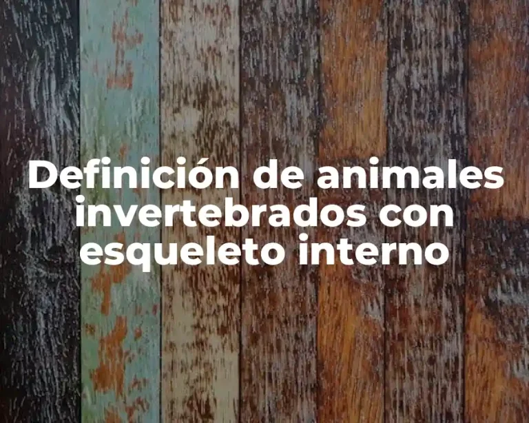 Definición de animales invertebrados con esqueleto interno
