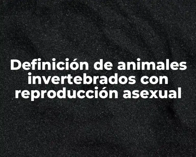 Definición de animales invertebrados con reproducción asexual