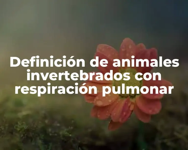 Definición de animales invertebrados con respiración pulmonar