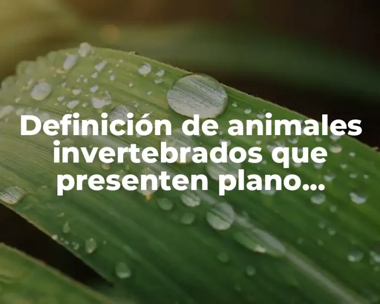 Definición de animales invertebrados que presenten plano simetrico bilateral