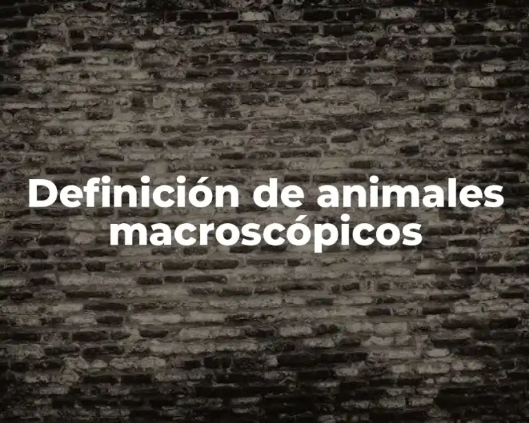 Definición de animales macroscópicos