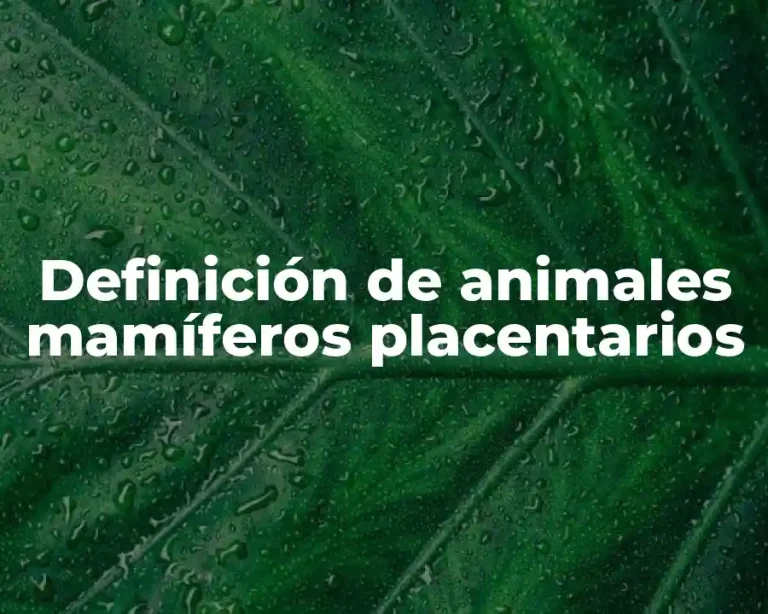 Definición de animales mamíferos placentarios