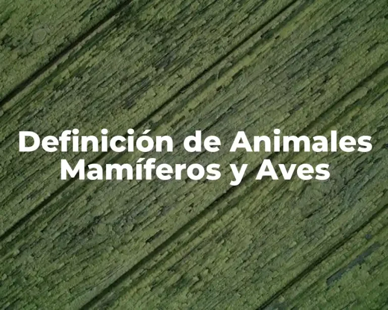 Definición de Animales Mamíferos y Aves
