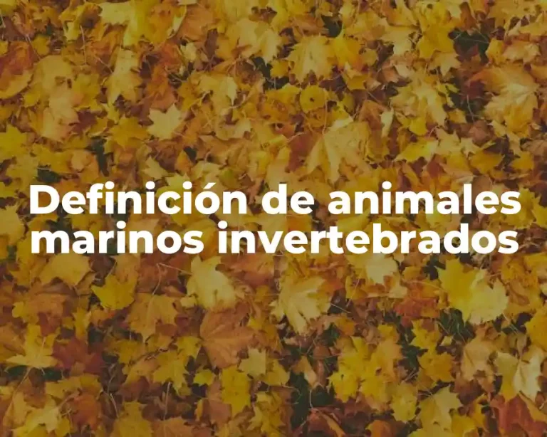Definición de animales marinos invertebrados