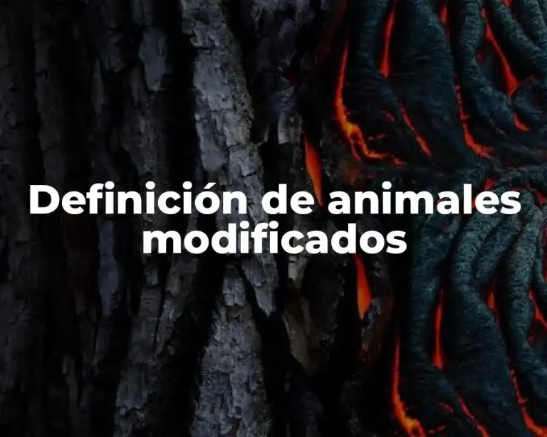 Definición de animales modificados