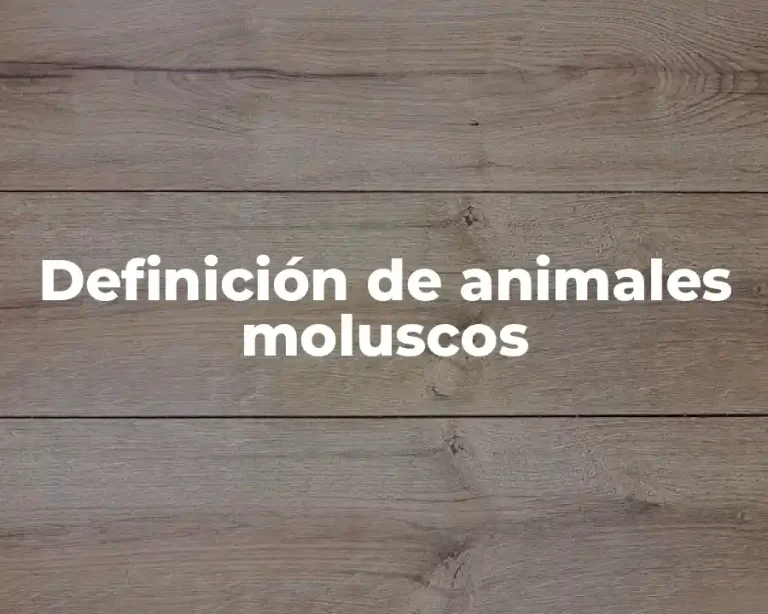 Definición de animales moluscos