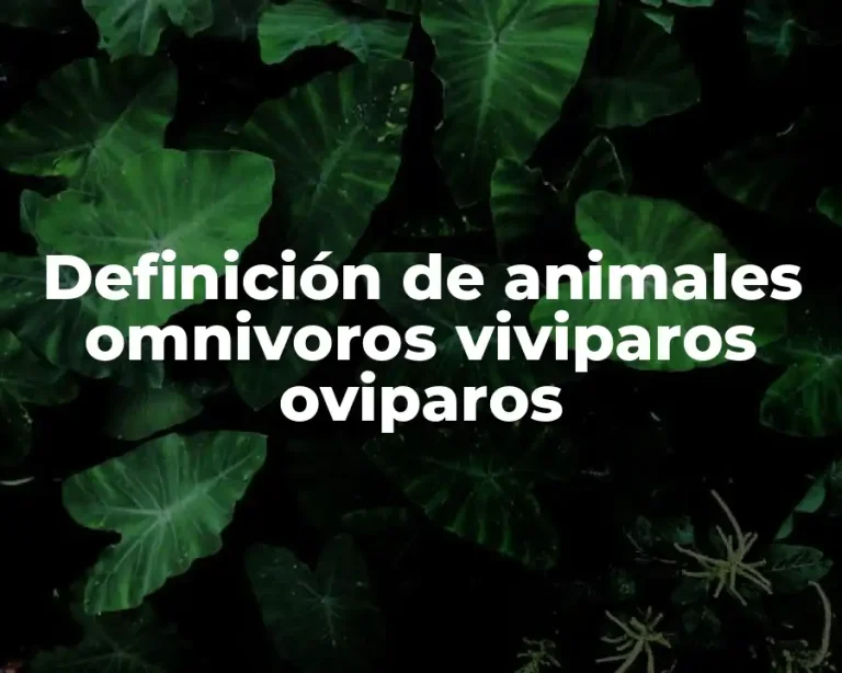 Definición de animales omnivoros viviparos oviparos