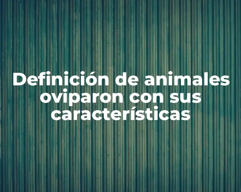 Definición de animales oviparon con sus características