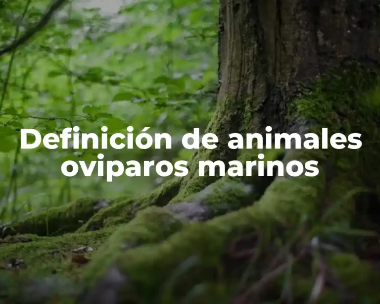 Definición de animales oviparos marinos