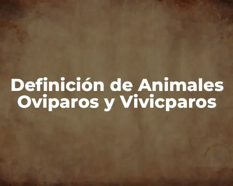 Definición de Animales Oviparos y Vivicparos