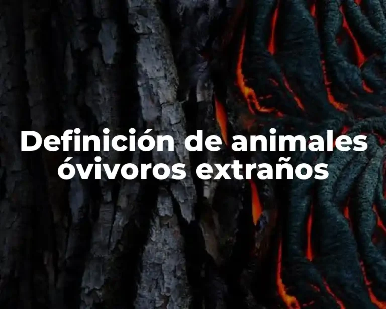 Definición de animales óvivoros extraños
