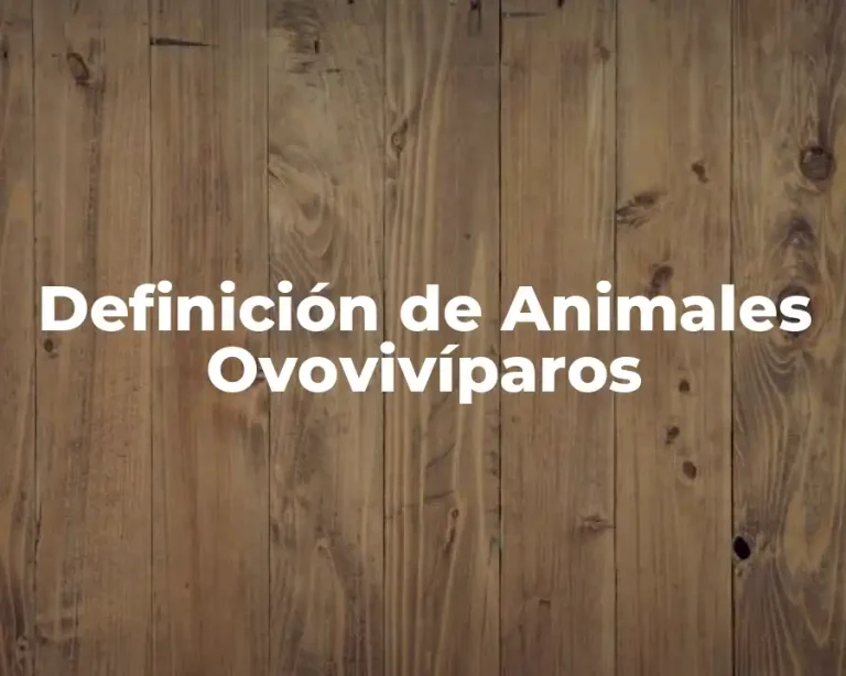 Definición de Animales Ovovivíparos