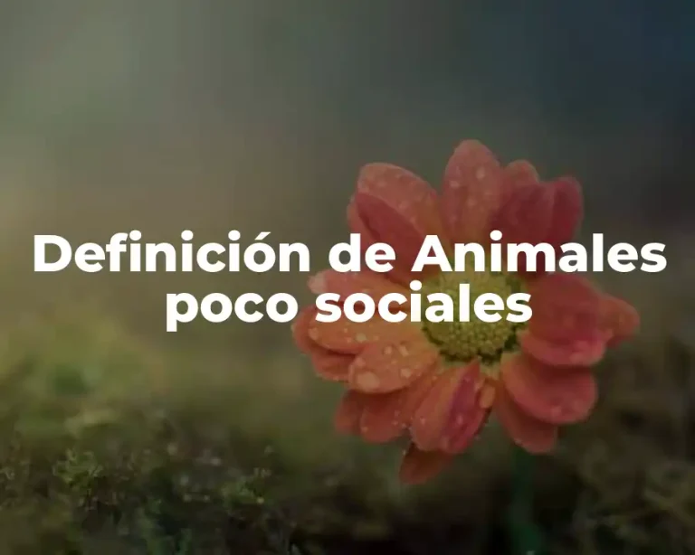 Definición de Animales poco sociales