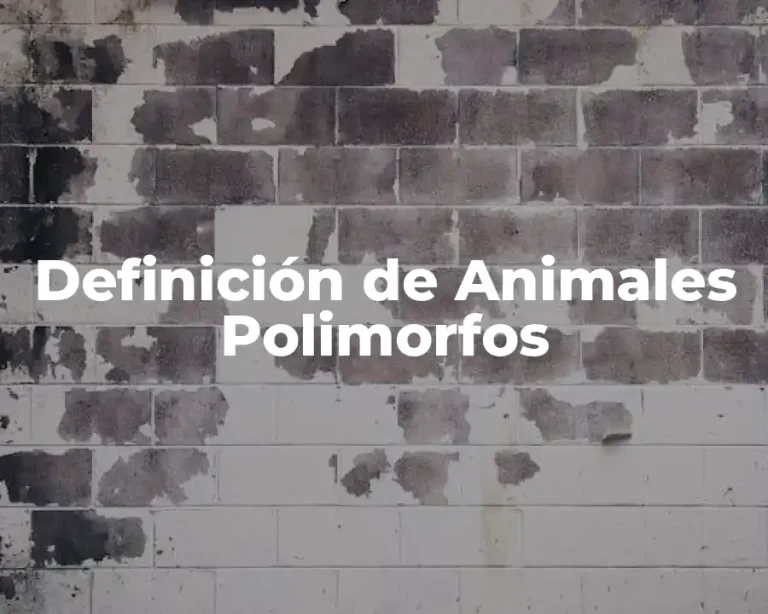 Definición de Animales Polimorfos