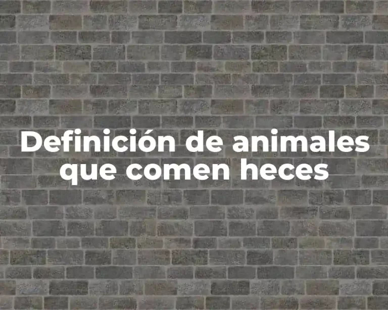 Definición de animales que comen heces