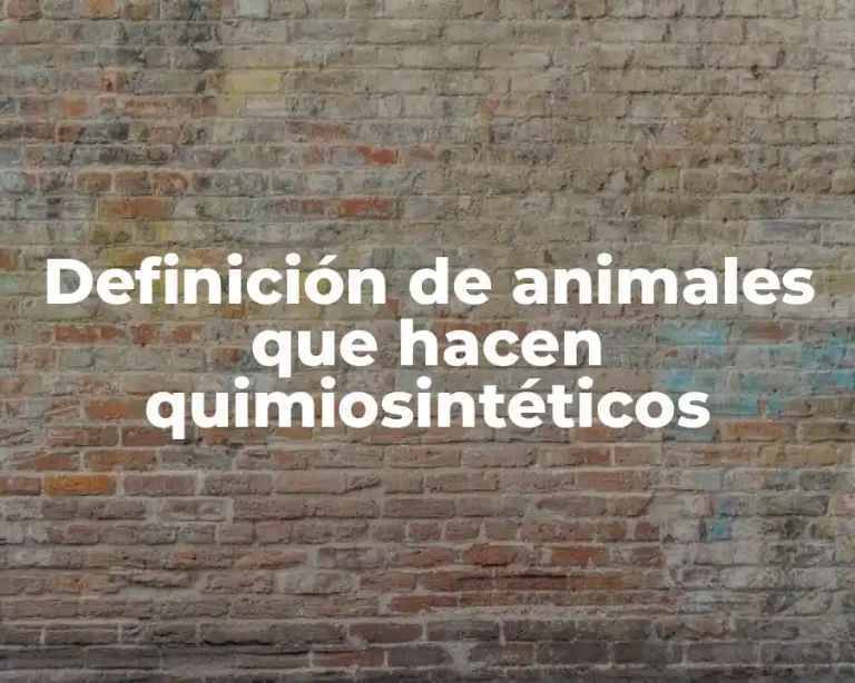 Definición de animales que hacen quimiosintéticos
