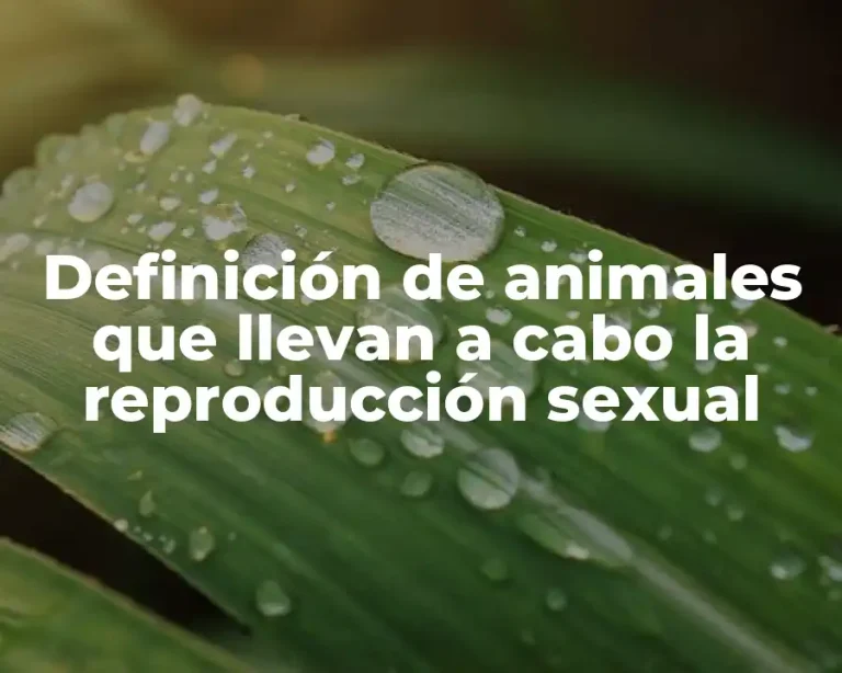 Definición de animales que llevan a cabo la reproducción sexual