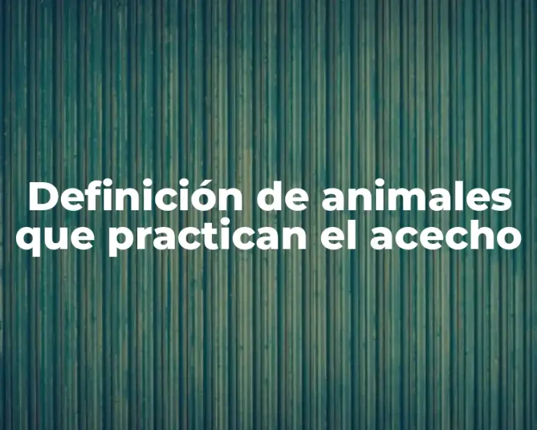 Definición de animales que practican el acecho