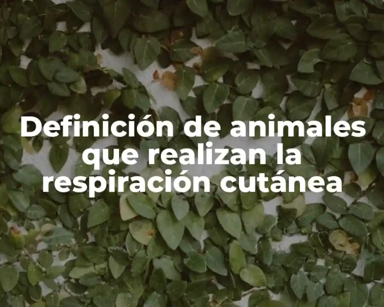 Definición de animales que realizan la respiración cutánea