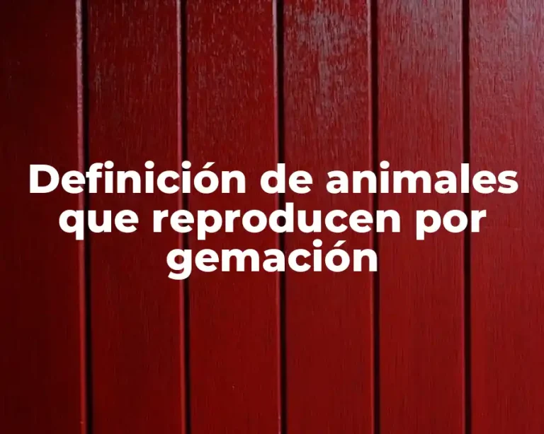 Definición de animales que reproducen por gemación
