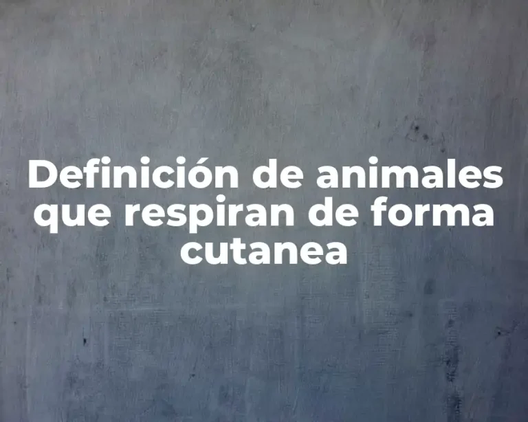 Definición de animales que respiran de forma cutanea