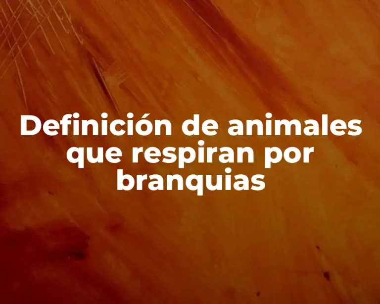 Definición de animales que respiran por branquias