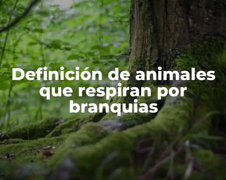 Definición de animales que respiran por branquias