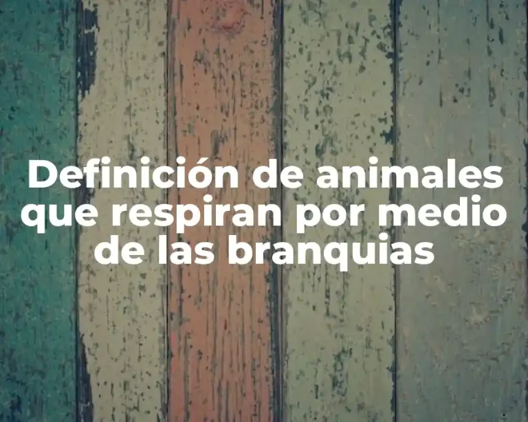 Definición de animales que respiran por medio de las branquias