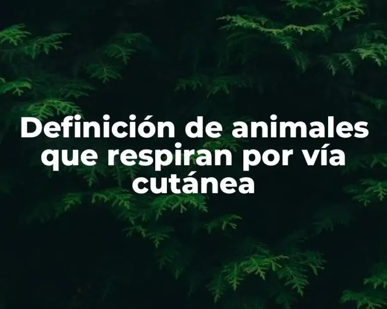 Definición de animales que respiran por vía cutánea