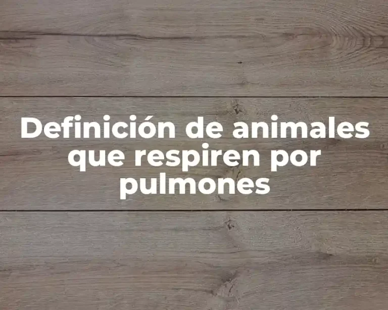 Definición de animales que respiren por pulmones