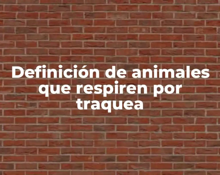 Definición de animales que respiren por traquea